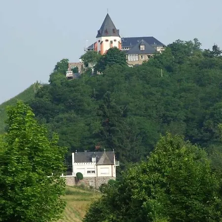 Apartman Schumann *